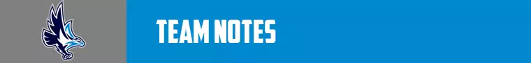 Team Notes
