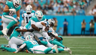 Dolphins' 'hidden' talent could speed rebuild
