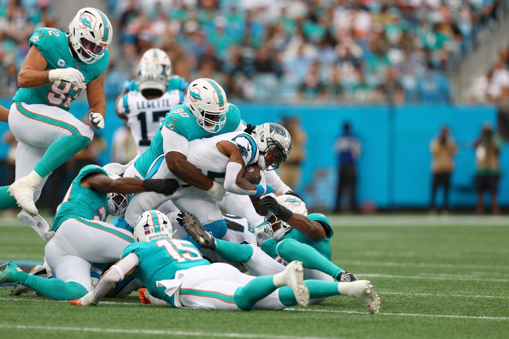 Dolphins' 'hidden' talent could speed rebuild