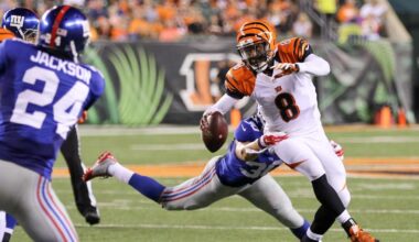 Josh Johnson Returns As Bengals Fortify Joe Burrow With Another Backup For The Ages