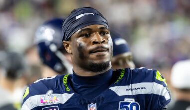 Seattle Seahawks safety Nick Emmanwori (3)