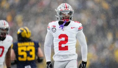Ohio State Buckeyes defensive back Caleb Downs (2) celebrates during the NCAA football game against the Michigan Wolverines at Michigan Stadium in Ann Arbor, Mich. on Nov. 29, 2025. Ohio State won 27-9.