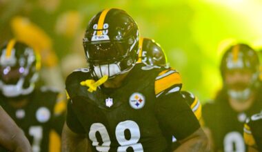 Giants Release former Steelers Defensive End after Draft