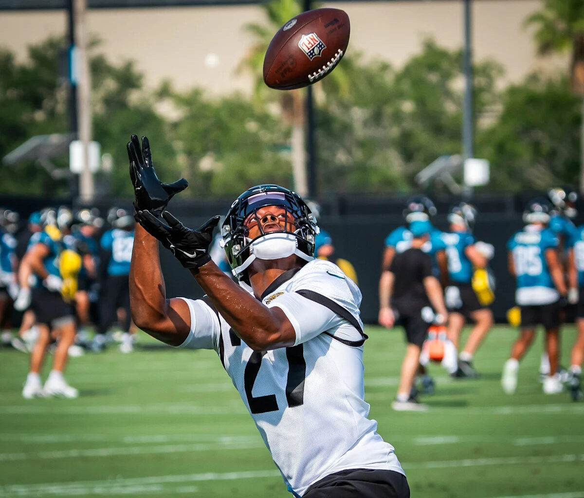 Download app from appStore