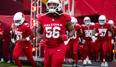 Cardinals DL Darius Robinson