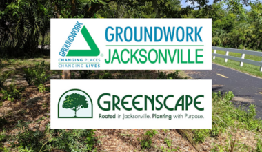 Two Jacksonville tree advocacy nonprofits partner to plant 70 trees along Emerald Trail S-Line