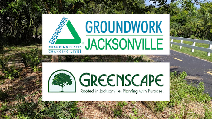 Two Jacksonville tree advocacy nonprofits partner to plant 70 trees along Emerald Trail S-Line
