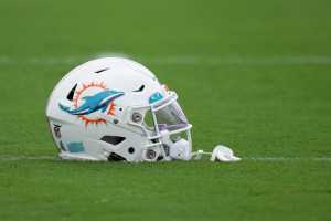 Dolphins Helmet
