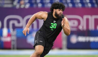 Baltimore Ravens logo