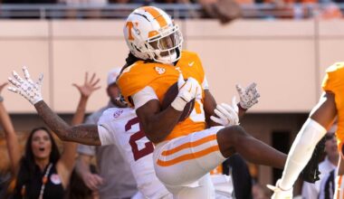 Pittsburgh Steelers logo