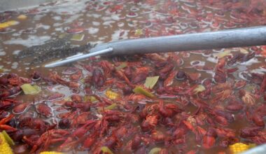 Saints team up with Cox to host 2026 NFL Draft Crawfish Cook-Off Competition