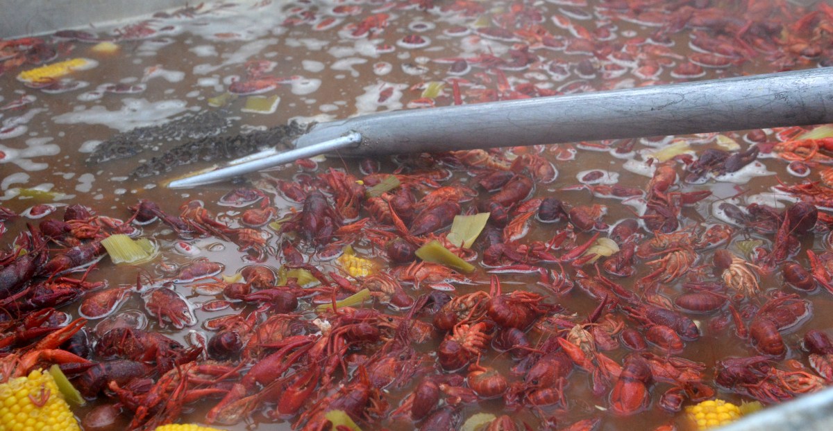 Saints team up with Cox to host 2026 NFL Draft Crawfish Cook-Off Competition