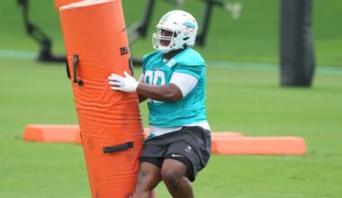 Dolphins' Kenneth Grant has key second season ahead of him