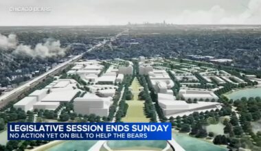 Chicago Bears stadium 'mega-projects' bill among measures for Illinois lawmakers to review as legislative session ends Sunday