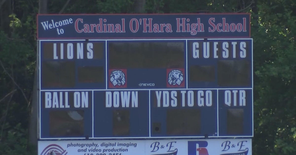 Hero Bowl, a charity football game in Delaware County, canceled midgame after brawl erupts at Cardinal O'Hara