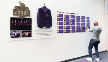 Minnesota Vikings logo