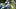 Dallas Cowboys cornerback Caleb Downs goes through a drill during practice at the Ford Center at the Star Training Facility Dallas Cowboys cornerback Caleb Downs goes through a drill during practice at the Ford Center at the Star Training Facility