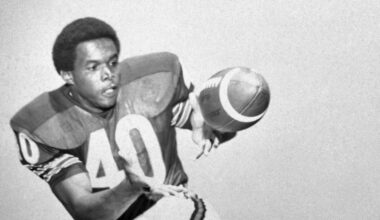 My All-Time Chicago Bears Historical Team: The Bear Essentials
