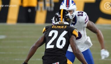 Three (More) Forgotten Steelers On The Roster