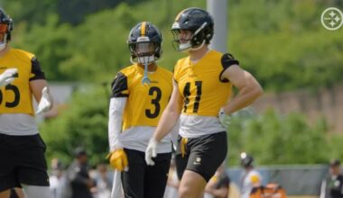 Analyst Discusses His 'One Concern' With The Steelers' Defense