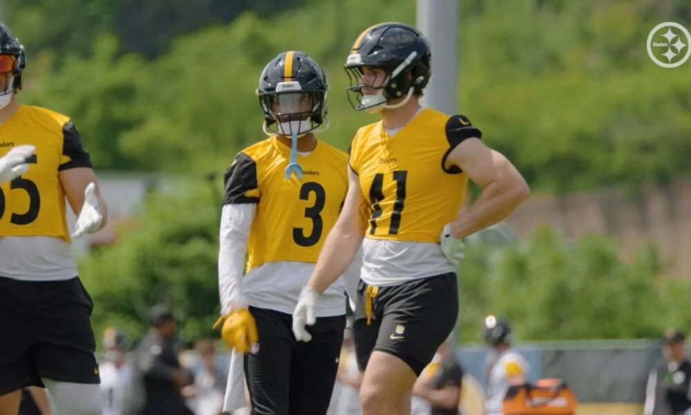 Analyst Discusses His 'One Concern' With The Steelers' Defense
