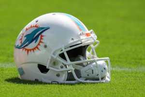 Dolphins helmet