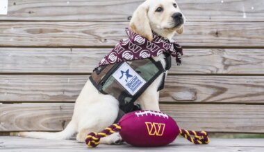 Washington Commanders ready for new season with team dog