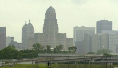 Buffalo skyline