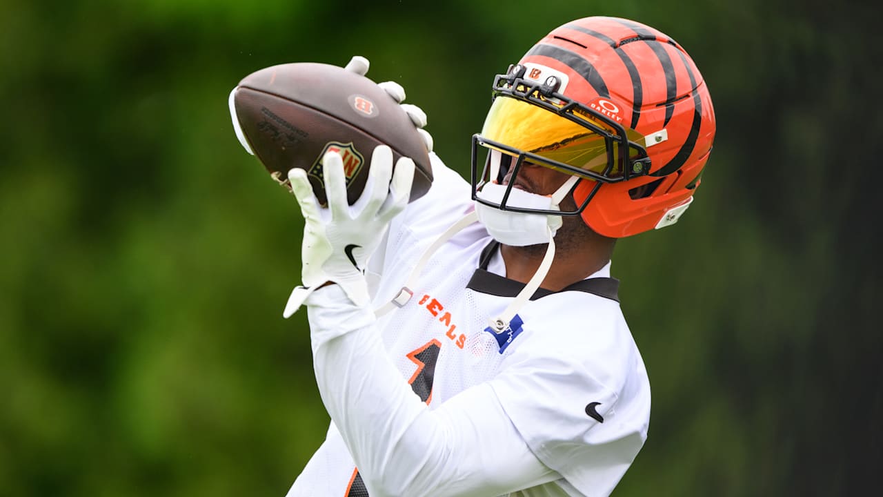 Cincinnati Bengals logo