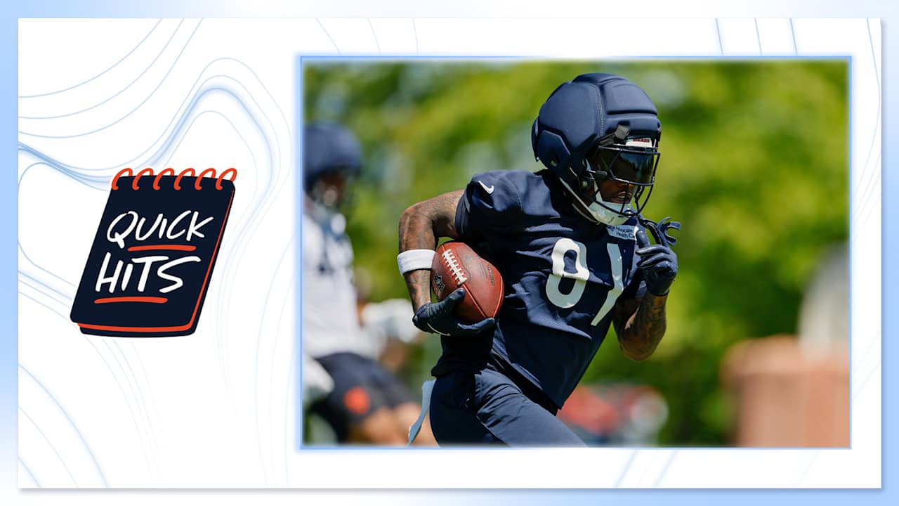 Chicago Bears logo