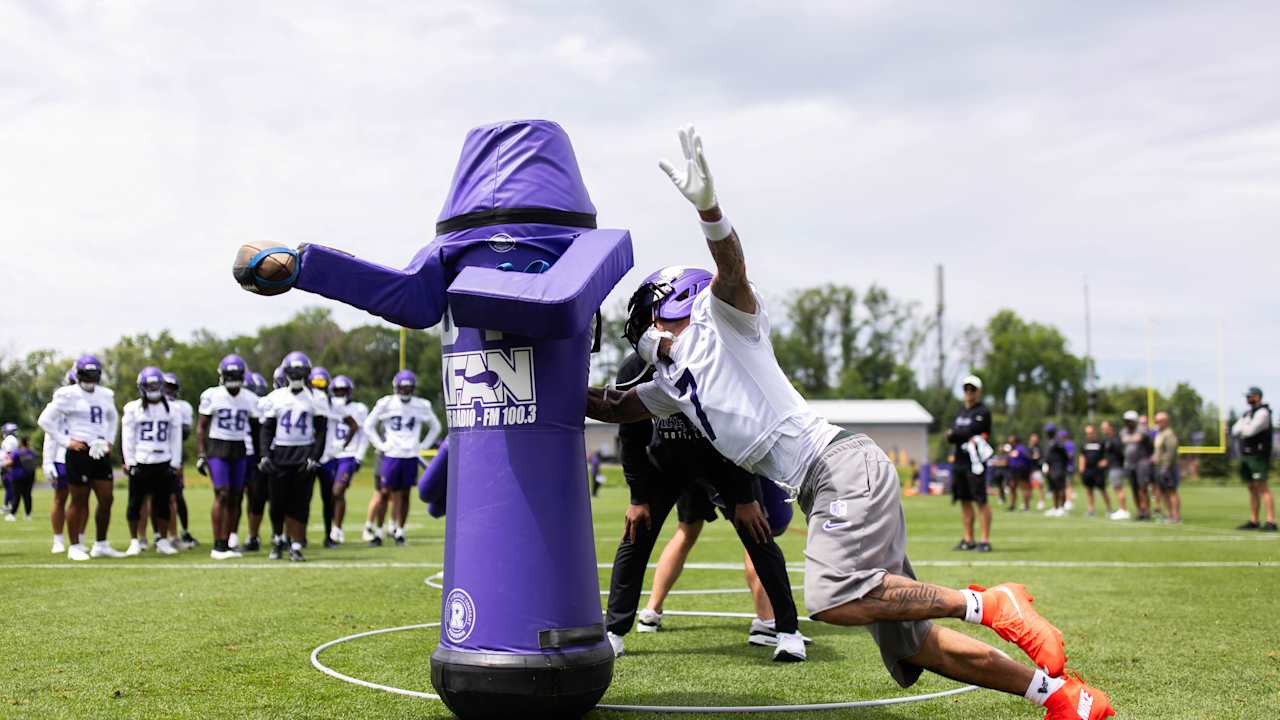 Minnesota Vikings logo