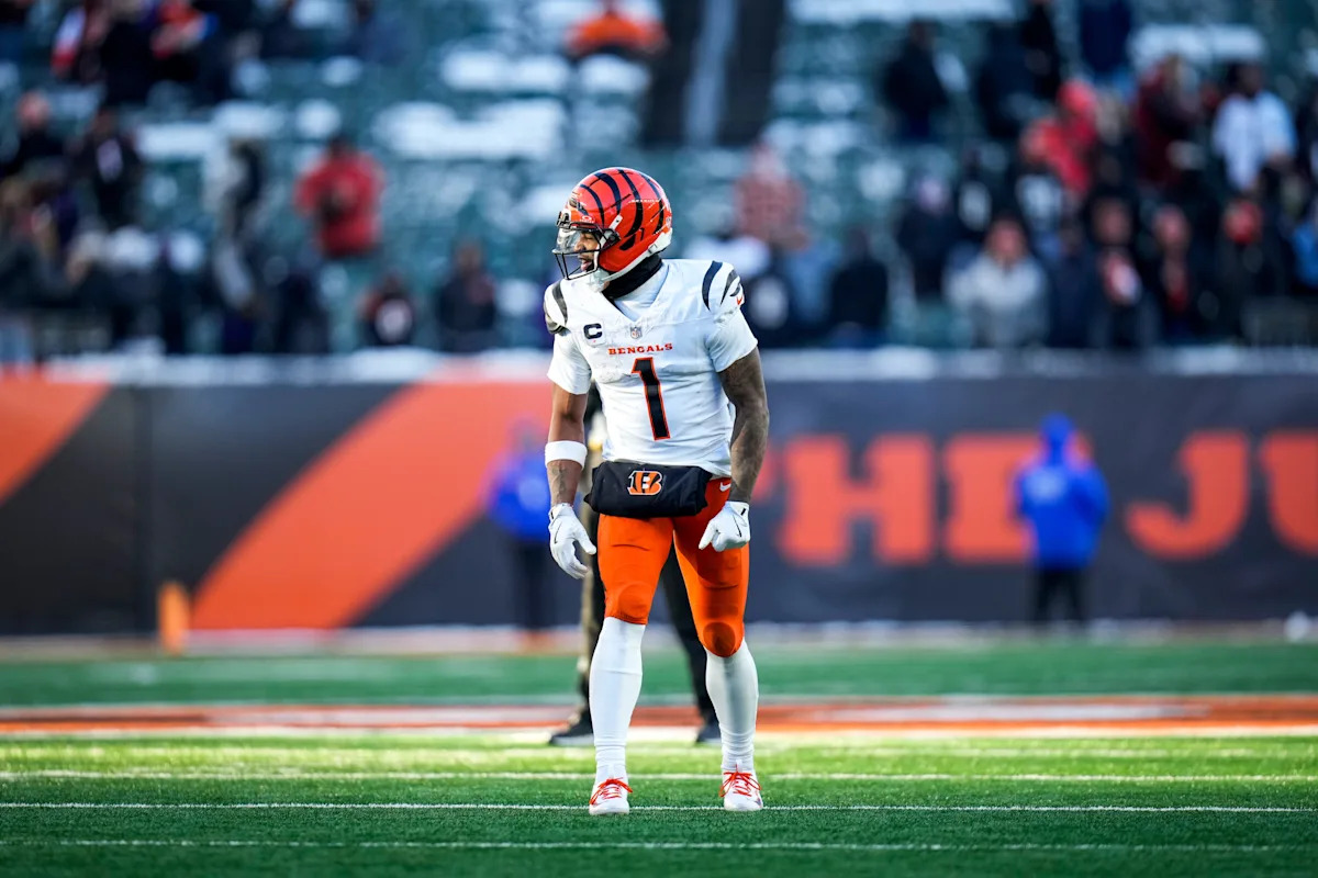 Bengals slightly disrespected in unique new rankings
