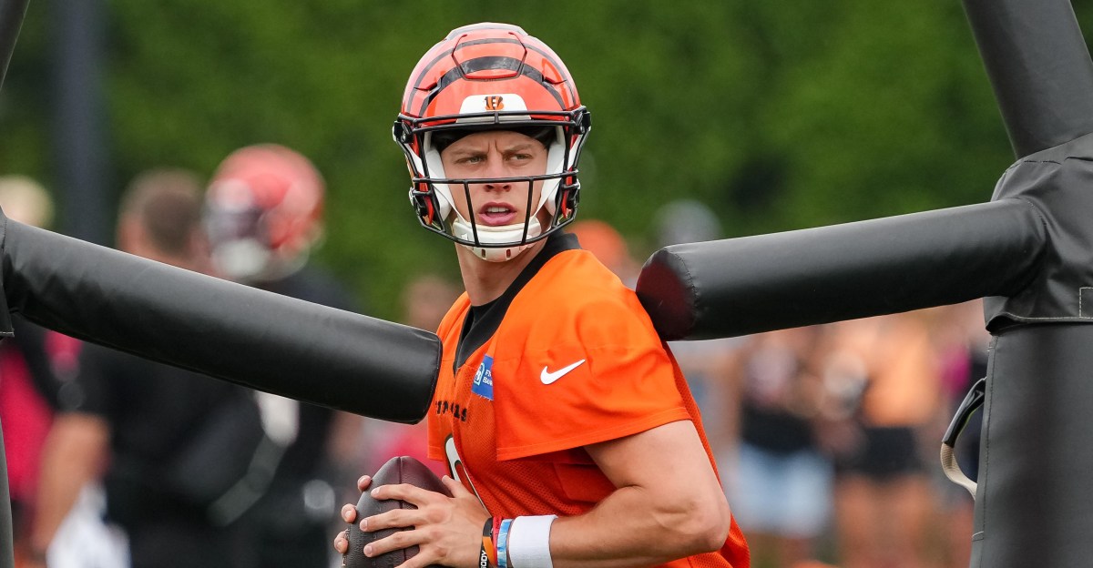 Latest highlights from Bengals OTAs include Tee Higgins making a Tee Higgins grab