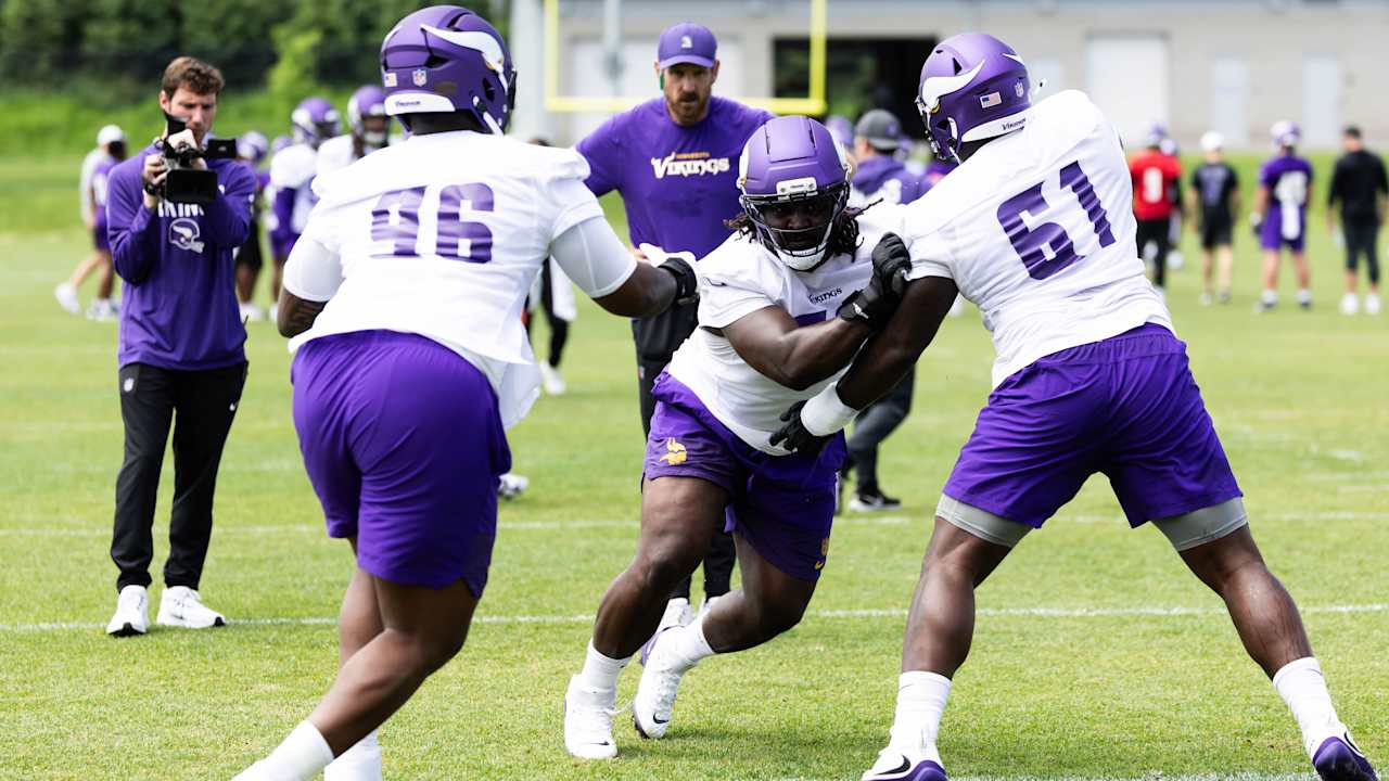 Minnesota Vikings logo