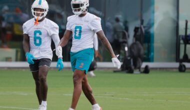 Veterans emerge amid youthful Dolphins season