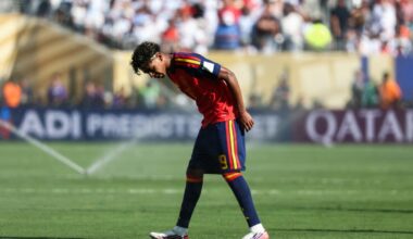 Players urge NFL to keep grass fields after World Cup
