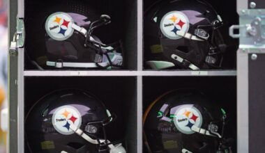Pittsburgh Steelers Insider Says Team Could Still Add Another Defender