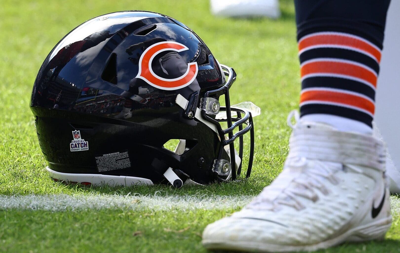 Bears Worked Out Six Players