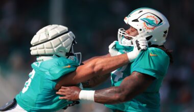'Holy crap. Look at the body. Look at the work.' — A young Miami Dolphins breakout candidate receives major praise from a pair of former players 