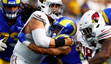 Cardinals roster: Training Camp DT Outlook