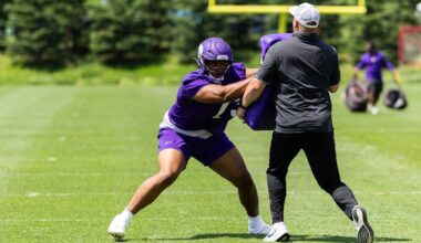 Minnesota Vikings logo