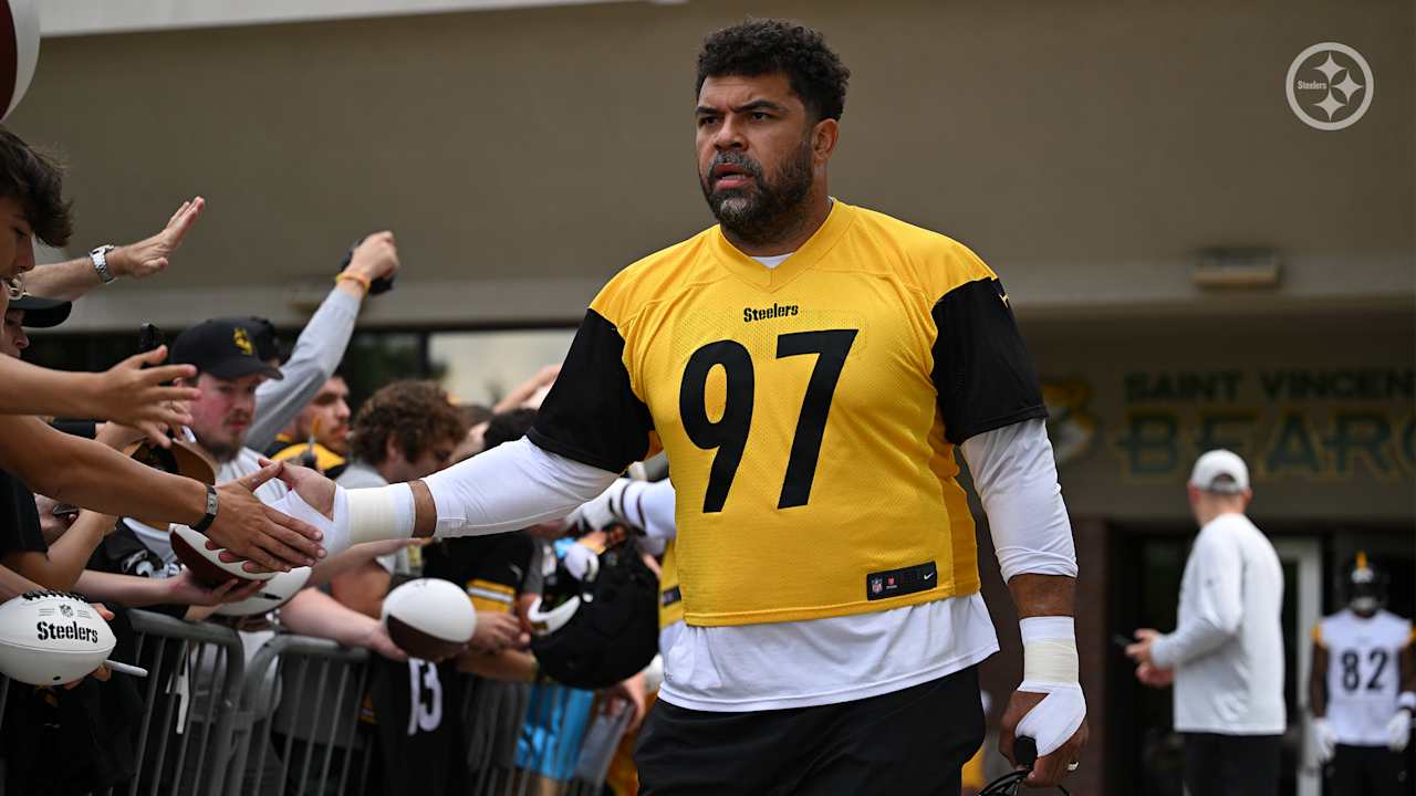 Pittsburgh Steelers logo