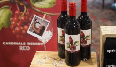 Cardinals unveil new State Farm flavors | City News