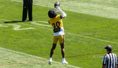 Just-Released Steelers Cornerback Claimed By Dolphins