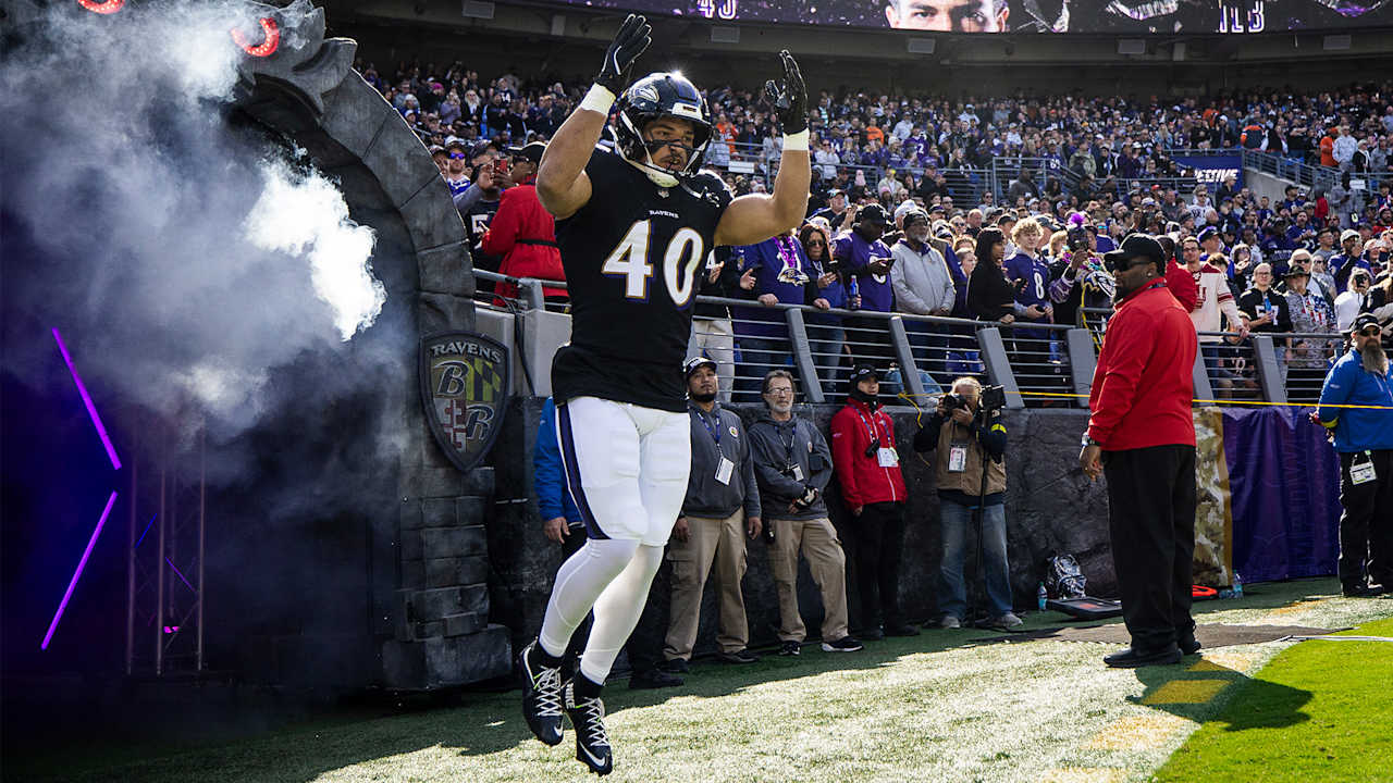 Baltimore Ravens logo