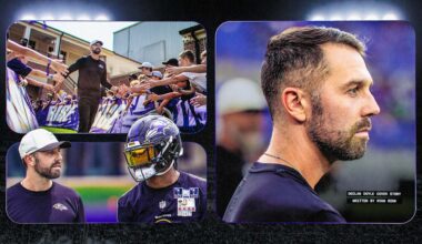Baltimore Ravens logo