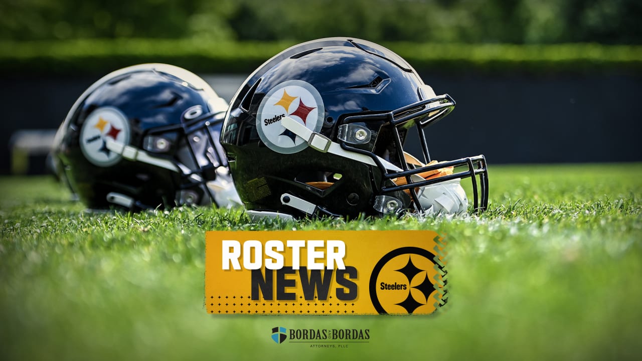 Pittsburgh Steelers logo