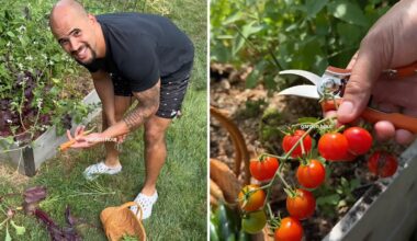 NFL star Zach Baun returns to surprise harvest after leaving garden for 6 weeks
