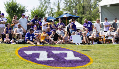 Minnesota Vikings logo