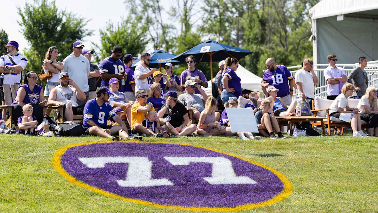 Minnesota Vikings logo